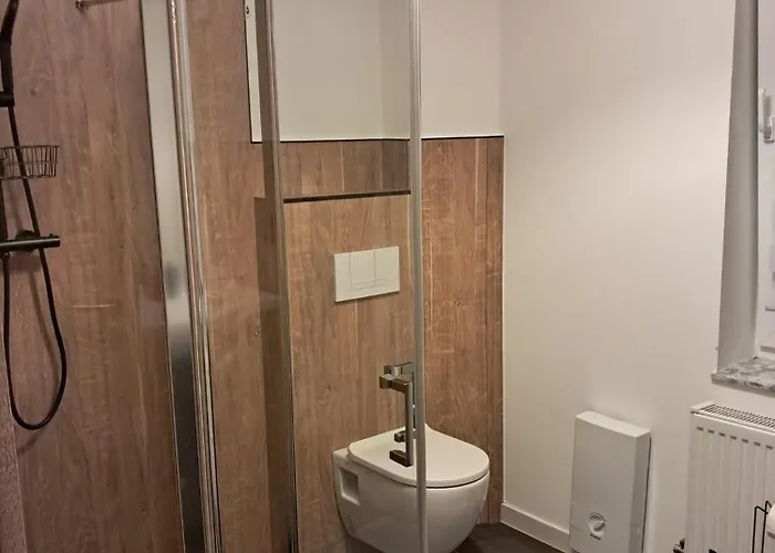 Sasa Blankenburg (Harz)